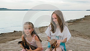 Two children playing which dogs on the sand on the beach.