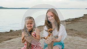 Two children playing which dogs on the sand on the beach.