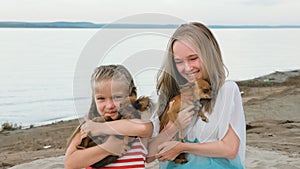 Two children playing which dogs on the sand on the beach.