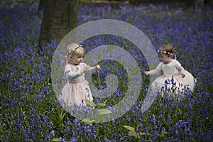 Two children playing in a wood full of bluebells