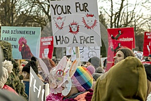 Two children in rabbit masks surrounded by people with Anti Fur placards and posters at Animal Rights Protest
