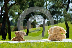 Two children's teddy bears sit on the grass in the summer in a field in the sun