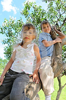 Two children sit on thick barrel of lilac