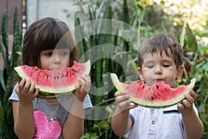 Two children summer portrait. Smiling children outdoor. Happy smiling child eating watermelon in park.