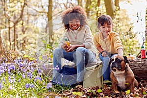 Two Children Walking Pet Dog Through Bluebell Woods In Springtime Taking A Break Sitting On Log