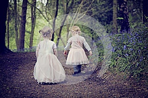 Two children in a wood filled with spring bluebells