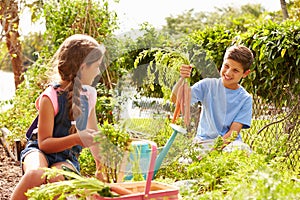 Two Children Working On Allotment Together