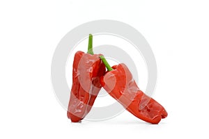 two chilis stay with each other on the white background