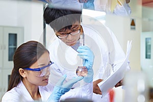 Two Asian Laboratory scientist working at lab with test tubes