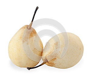 Two Chinese pear isolated