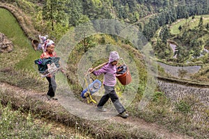 Two Chinese peasants go to work in the rice fields.