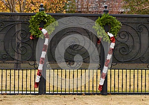 Two Chistmas candy canes hanging from green wreathes decorating a fence in Dallas, Texas