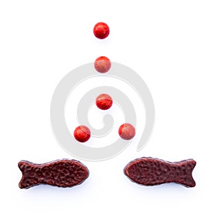 Two chocolate fish and red bubbles - kiwiana from New Zealand, N