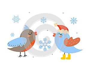 Two cute Birds for your Christmas design. Isolated characters on a white background with snowflakes.
