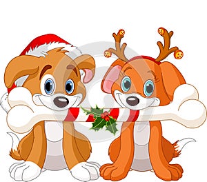 Two Christmas dogs photo