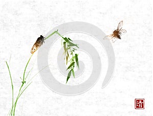 Two cicadas and bamboo branch on rice paper background. Traditional oriental ink painting sumi-e, u-sin, go-hua