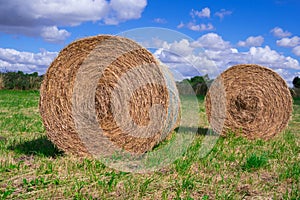 Two Circular bales of straw in a meadow under a blue sky