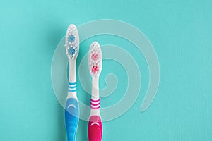 Two clean toothbrushes in blue and red
