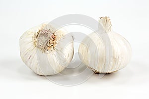 Two closed white organic garlic bulbs with skin isolated on white background