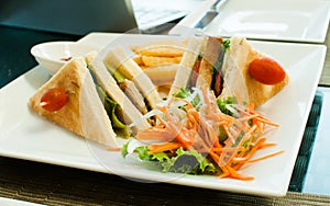 Two club sandwich with garnish