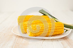 Two of the cob cooked corn on white background