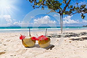 Two coconut cocktails on white sand beach