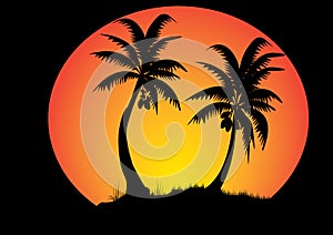 Two coconut trees with full moon background