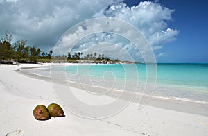 Two coconuts on a desert beach