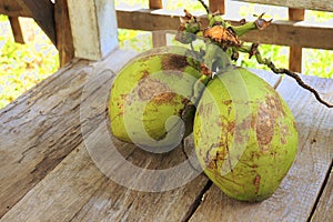 Two coconuts on wooden floor