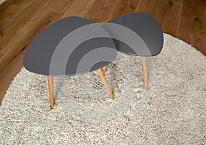 Two coffee tables stand on a round rug. Living room interior fragment