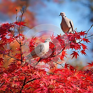 two collared doves, AI generated