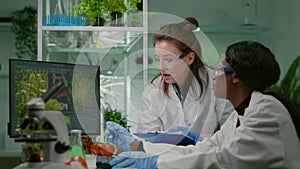 Two collegues checking sample of vegan meat writing biotechnology expertise