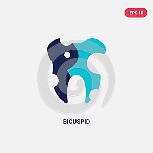 Two color bicuspid vector icon from dentist concept. isolated blue bicuspid vector sign symbol can be use for web, mobile and logo photo