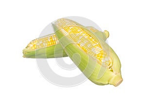 Two color corns isolated on white