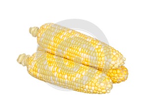 Two color corns isolated on white