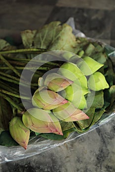 Two color lotus bud flowers on lotus leaf. Buddhism offerings