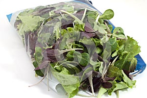 Two-colored salad with freshness-saving package