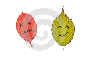 Two colorful autumn leaves with face emotions - dissatisfied and happy