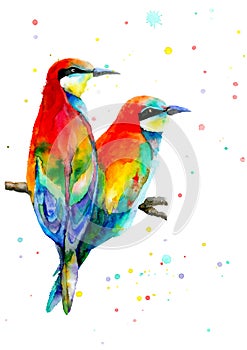 Two colorful birds sitting on branch and looking at the same direction. Love birds. Watercolor illustration