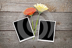 Two colorful gerbera flowers and photo frames
