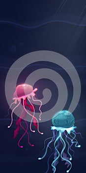 Two colorful jellyfish in the dark water. Blue and pink jellyfish illustration