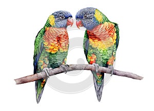 Two Colorful Lorikeet Parrots . AI generated Illustration