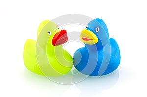 Two colorful rubber ducks