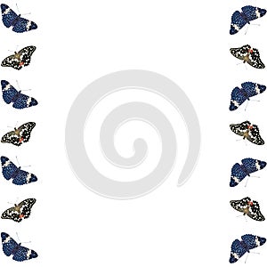 Two columns of isolated butterflies on white background frame a copy space