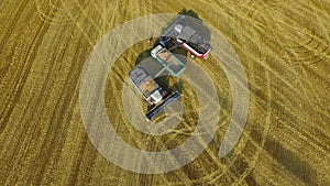 Two combines put harvested crops into a transporting machine for transportation to the factory 4K