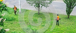 Two communal service workers in an orange vests mow grass in a park with a hand gas mower