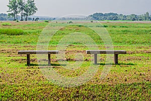 Two Concrete Benches on Green Meadow