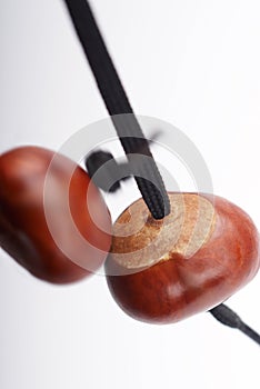 Two conkers hitting