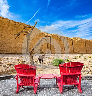 Two convenient red chaise lounges