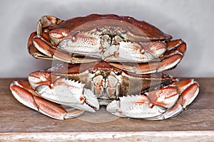 Two cooked Dungeness crabs on a cutting board